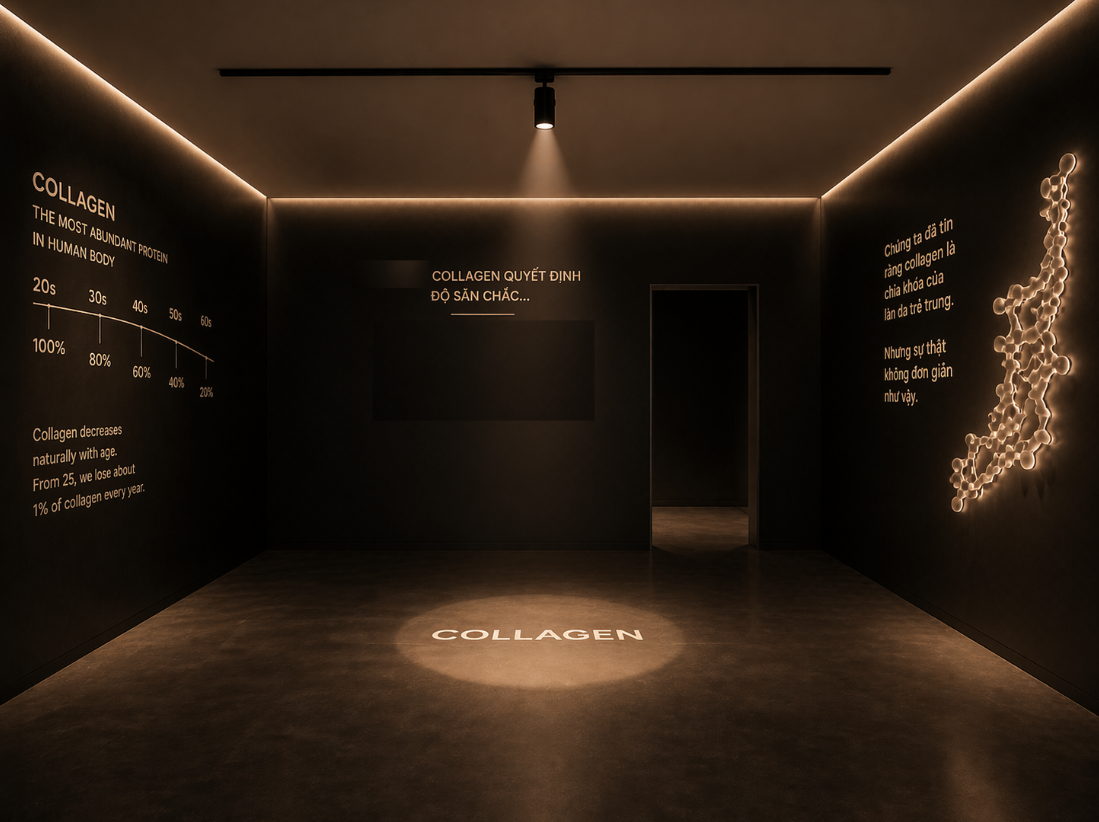 Phòng Collagen · trưng bày