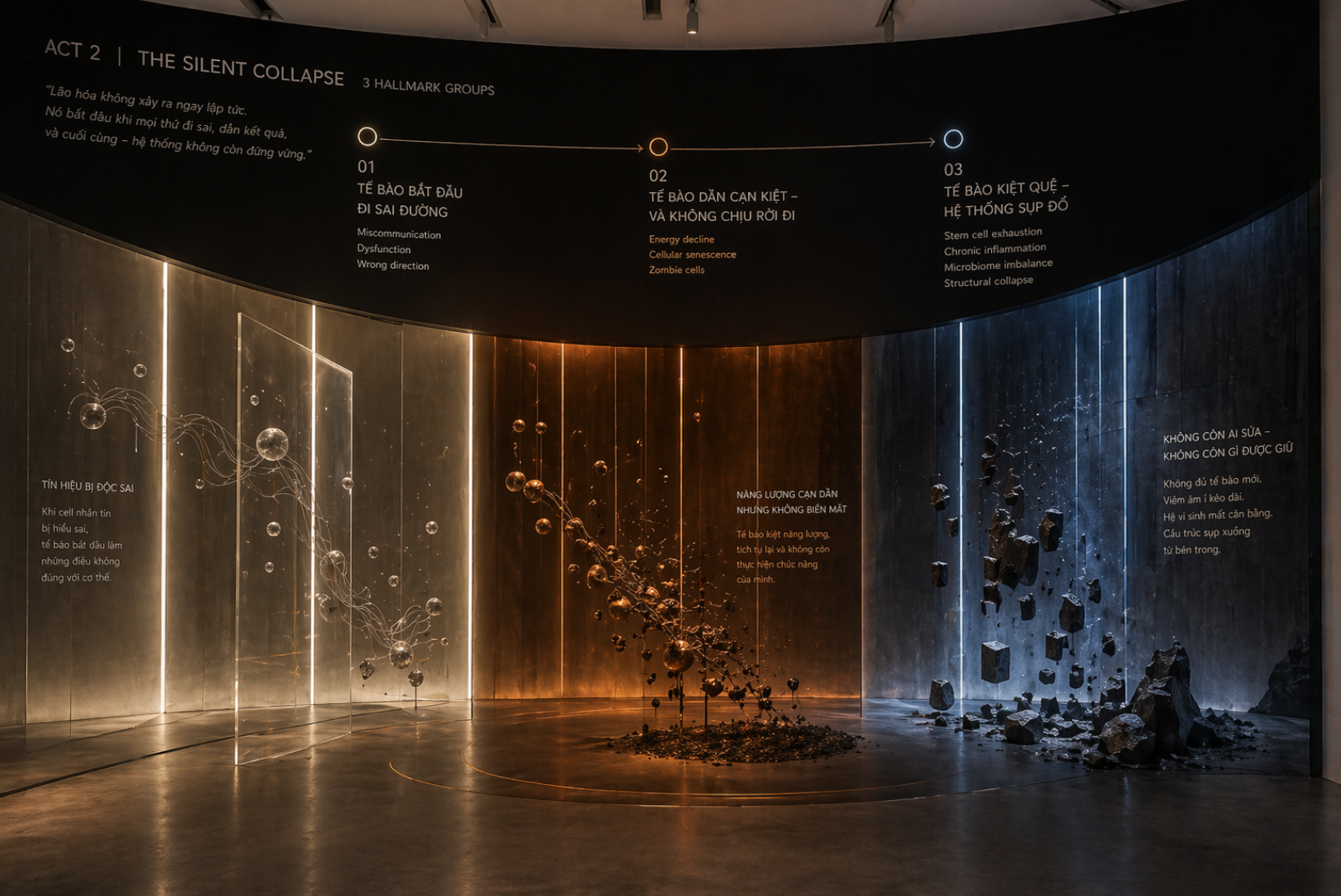 The Silent Collapse · ba nhóm Hallmarks of Aging