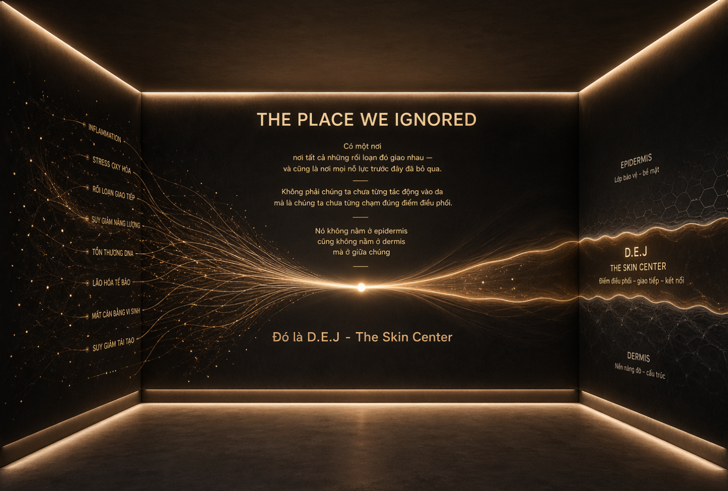 The Place We Ignored · DEJ giữa biểu bì và trung bì