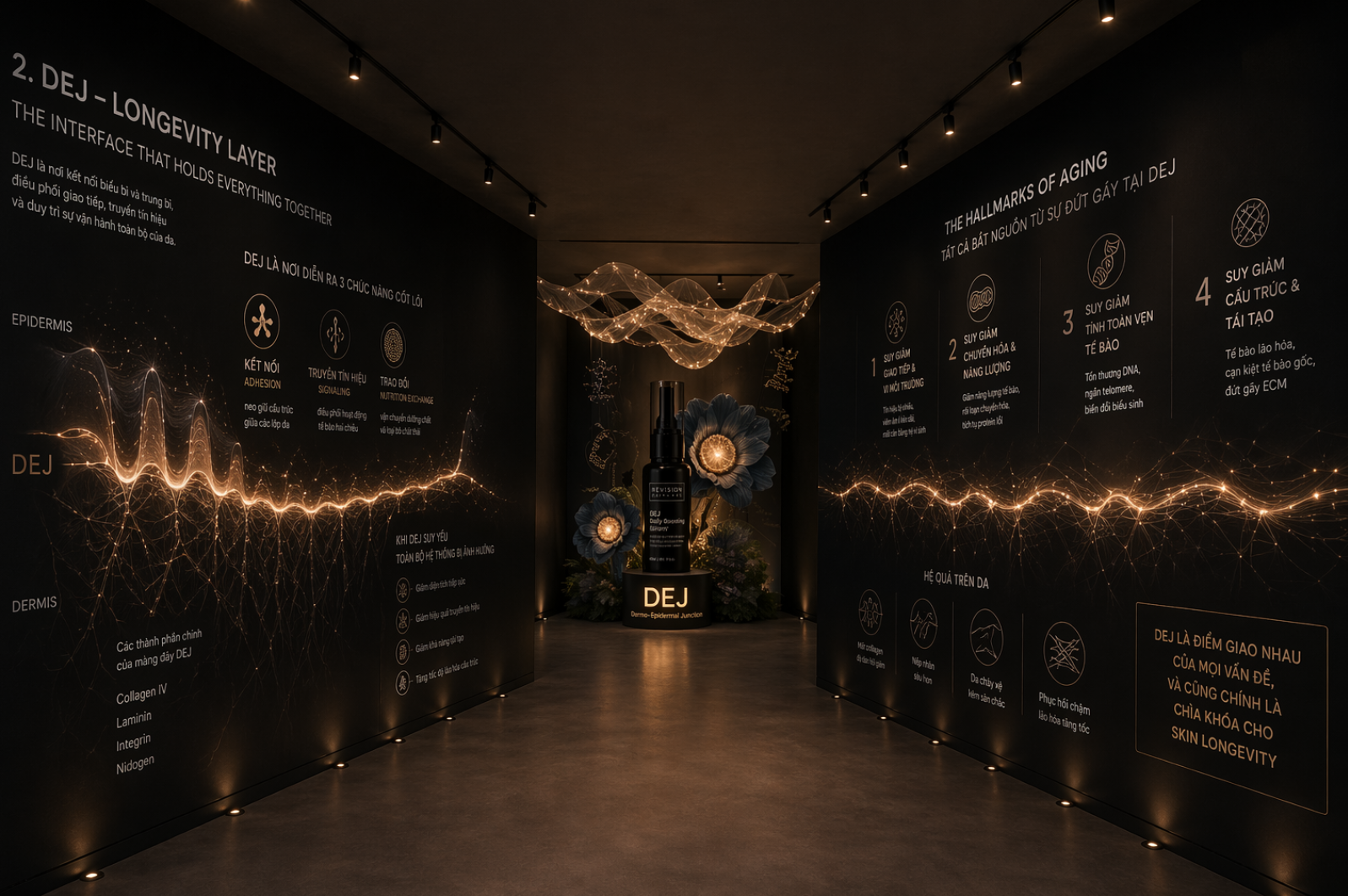 DEJ · longevity layer